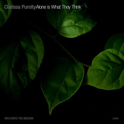 Pre Made Album Cover Black Forest