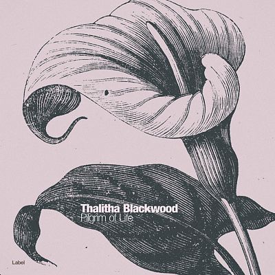 Pre Made Album Cover Mako