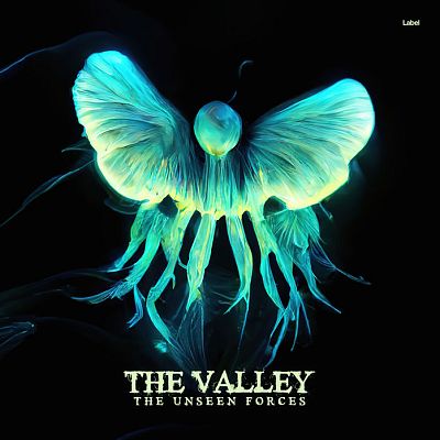 Pre Made Album Cover Black Bean