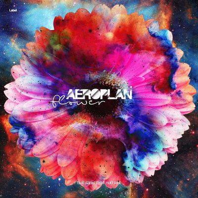 Pre Made Album Cover Fuzzy Wuzzy Brown