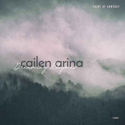 Pre Made Album Cover Pink Swan