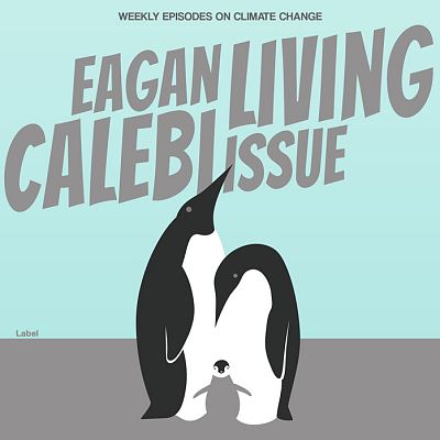 Pre Made Album Cover Opal