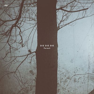 Pre Made Album Cover Pine Cone