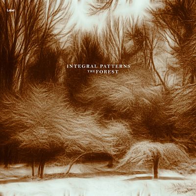 Pre Made Album Cover Walnut