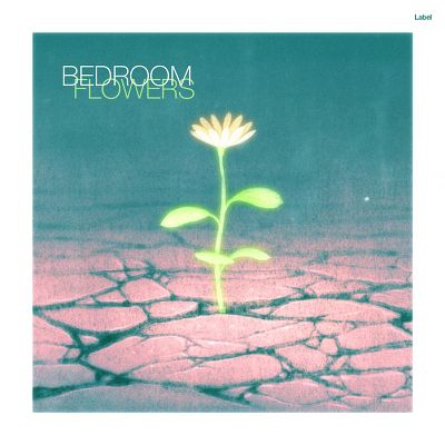 Pre Made Album Cover Wedgewood