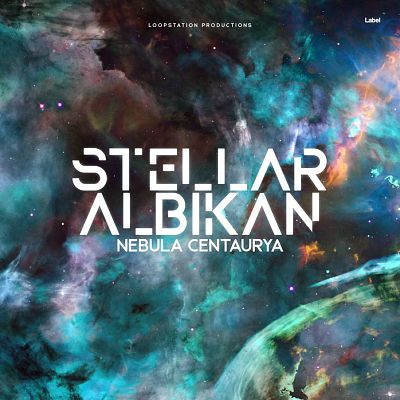 Pre Made Album Cover Limed Spruce