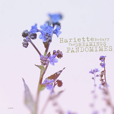 Pre Made Album Cover Snuff