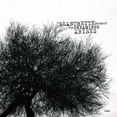 Pre Made Album Cover Shark