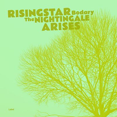 Pre Made Album Cover Madang