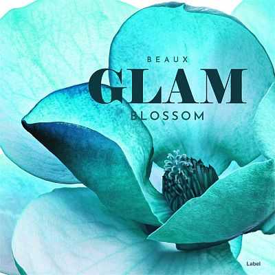 Pre Made Album Cover Pelorous