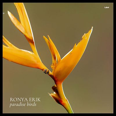 Pre Made Album Cover Yellow Metal