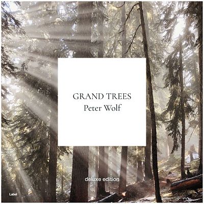 Pre Made Album Cover Pale Oyster