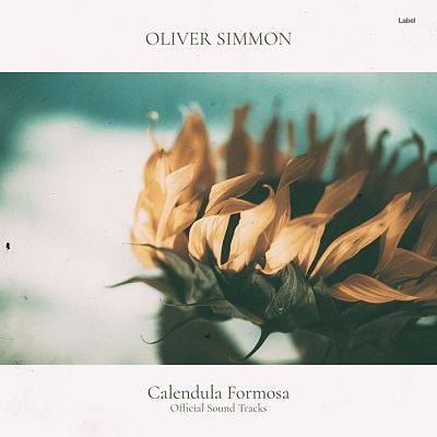 Pre Made Album Cover Kelp