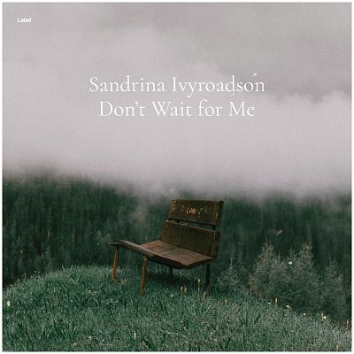 Pre Made Album Cover Heavy Metal