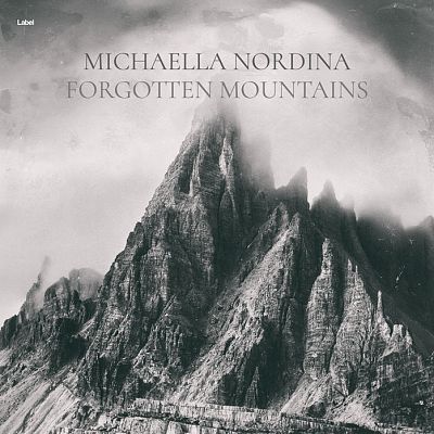 Pre Made Album Cover Silver