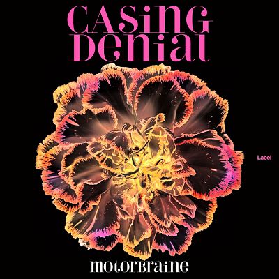 Pre Made Album Cover Gondola