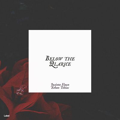 Pre Made Album Cover Dune