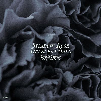 Pre Made Album Cover Shark