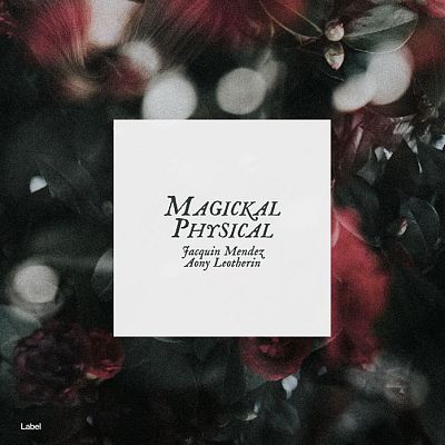 Pre Made Album Cover Alto