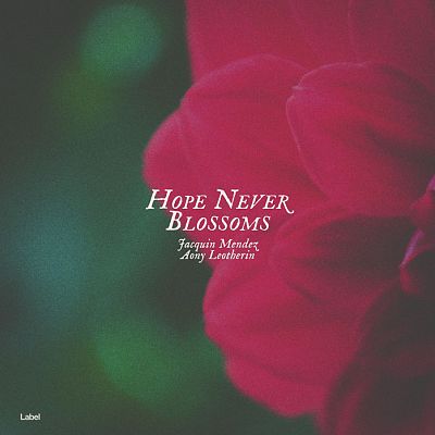 Pre Made Album Cover Matterhorn