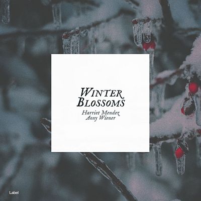 Pre Made Album Cover Abbey