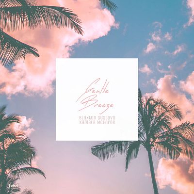 Pre Made Album Cover Pink Flare