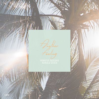 Pre Made Album Cover Conch