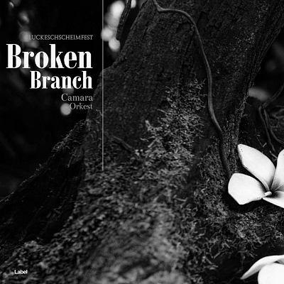 Pre Made Album Cover Cod Gray