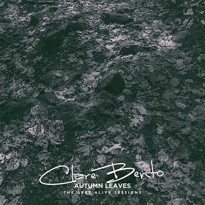 Pre Made Album Cover Outer Space