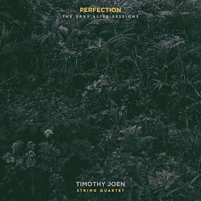 Pre Made Album Cover Outer Space