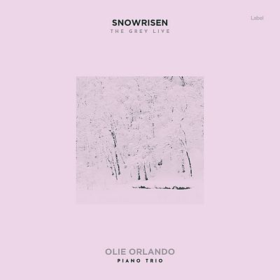 Pre Made Album Cover Twilight