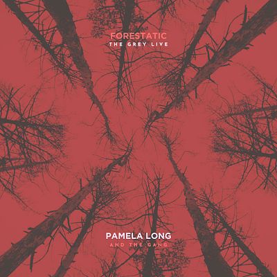 Pre Made Album Cover Matrix