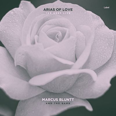 Pre Made Album Cover Shady Lady