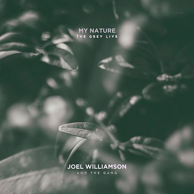 Pre Made Album Cover Mineral Green