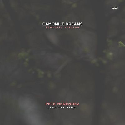 Pre Made Album Cover Masala