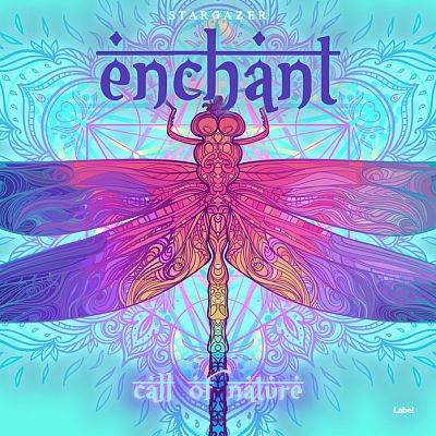 Pre Made Album Cover Seagull