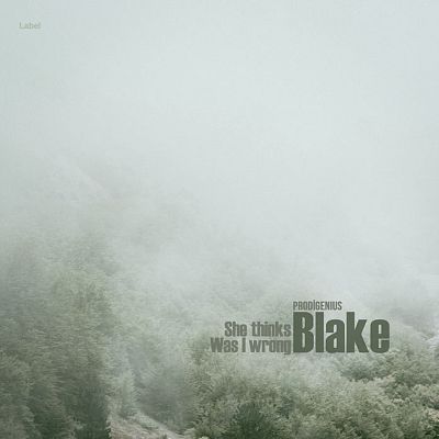 Pre Made Album Cover Tiara