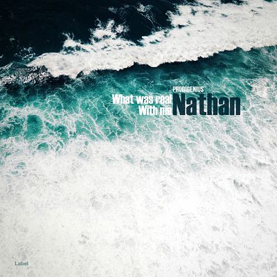 Pre Made Album Cover Blue Dianne