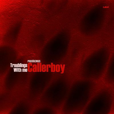 Pre Made Album Cover Rustic Red