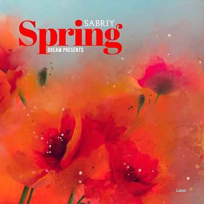 Pre Made Album Cover Valencia