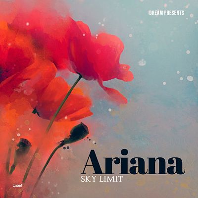 Pre Made Album Cover Dusty Gray