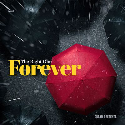 Pre Made Album Cover Shark