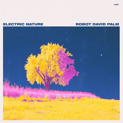 Pre Made Album Cover Sidecar