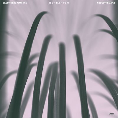 Pre Made Album Cover Pale Slate