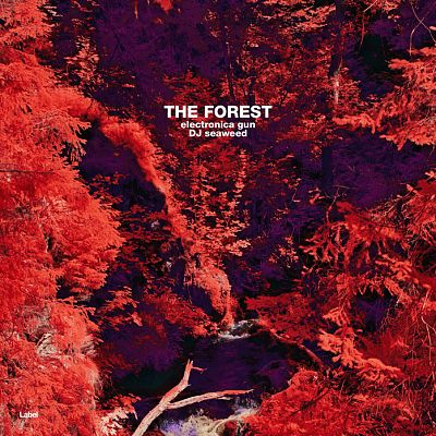 Pre Made Album Cover Valencia