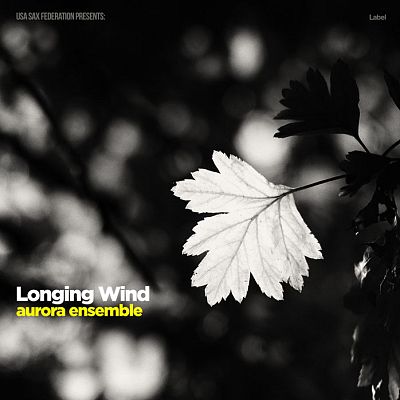 Pre Made Album Cover Ash