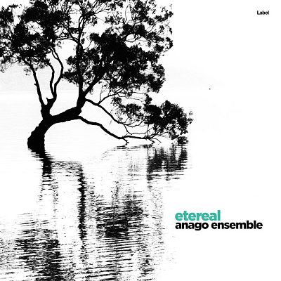 Pre Made Album Cover Gallery