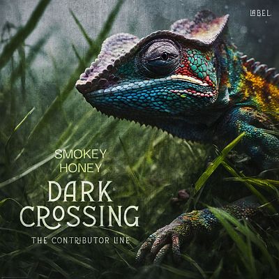 Pre Made Album Cover Heavy Metal