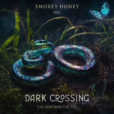 Pre Made Album Cover Shark