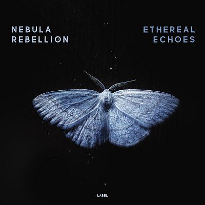 Pre Made Album Cover Woodsmoke